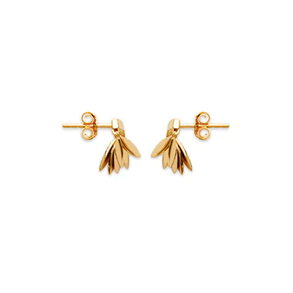 Boucles d'oreilles Dorjoy Boucles d'oreilles Diva